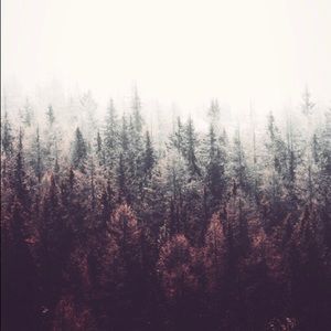 Meet your Posher, Katelyn